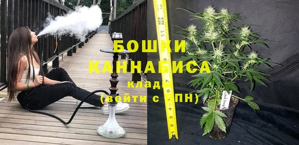 индика Дмитров