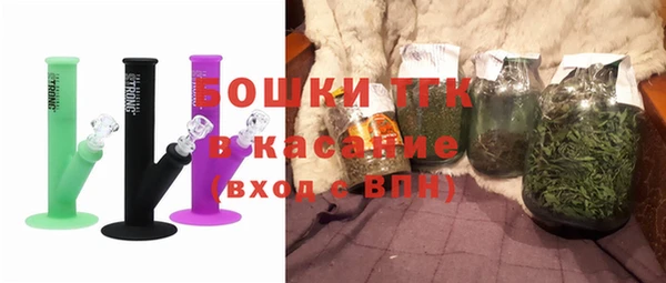 индика Дмитров