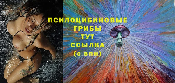 хмурый Дмитриев