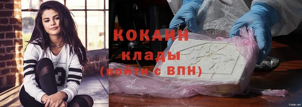 индика Дмитров